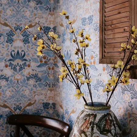 Nyaraló Bronte's Rest - Detached Elegant In Historic Old Town With Garden